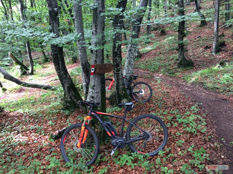 Biken in Kaltern